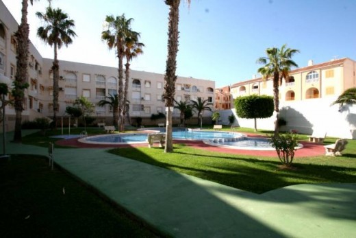 Planta baja - Venta - Torrevieja - A3053SG