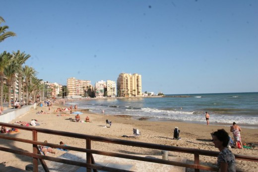 Wohnung - Resale - Torrevieja - A2331JR