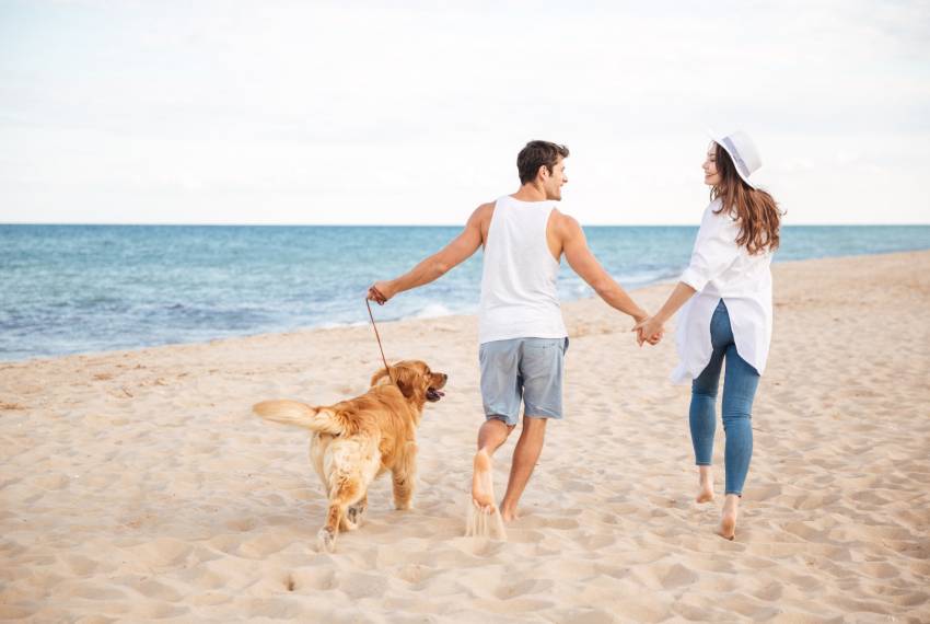 Descubre las mejores playas cerca de tu nueva propiedad en Torrevieja