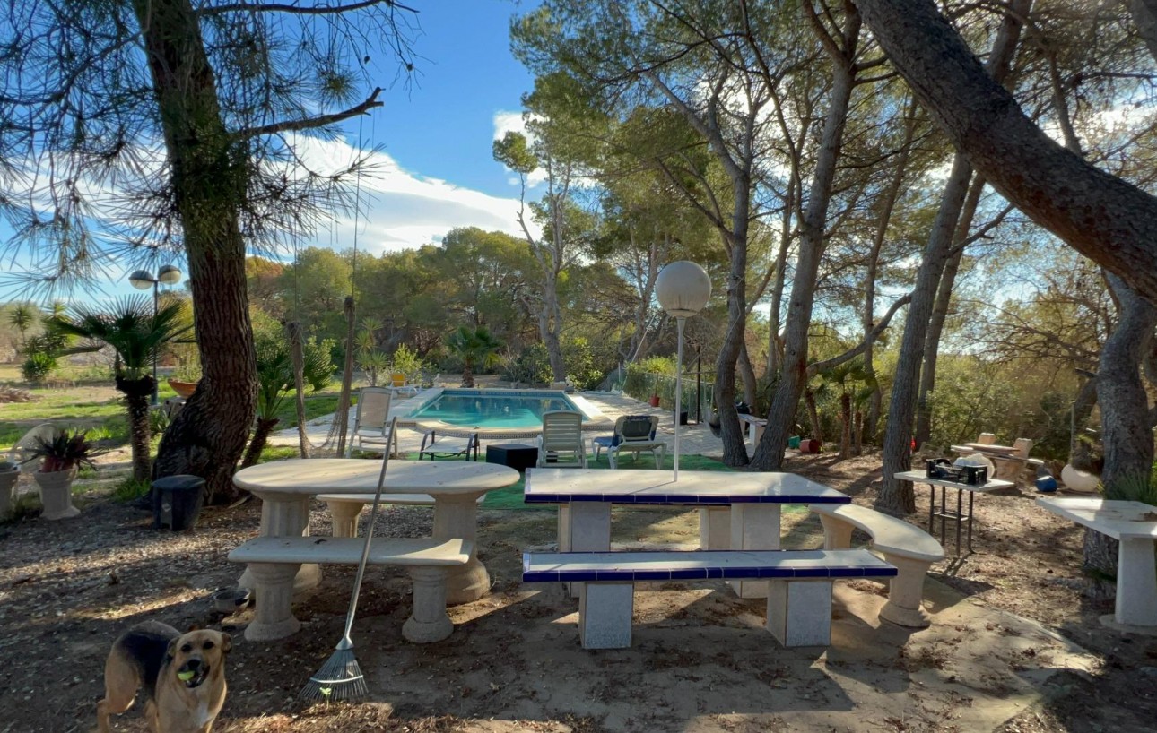 Sale - Chalet - Orihuela Costa - Campoamor