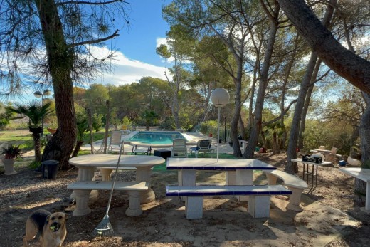 Sale - Chalet - Orihuela Costa - Campoamor