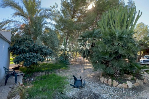 Sale - Chalet - Orihuela Costa - Campoamor