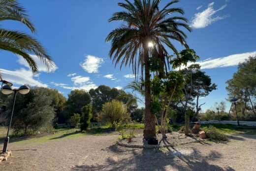 Sale - Chalet - Orihuela Costa - Campoamor