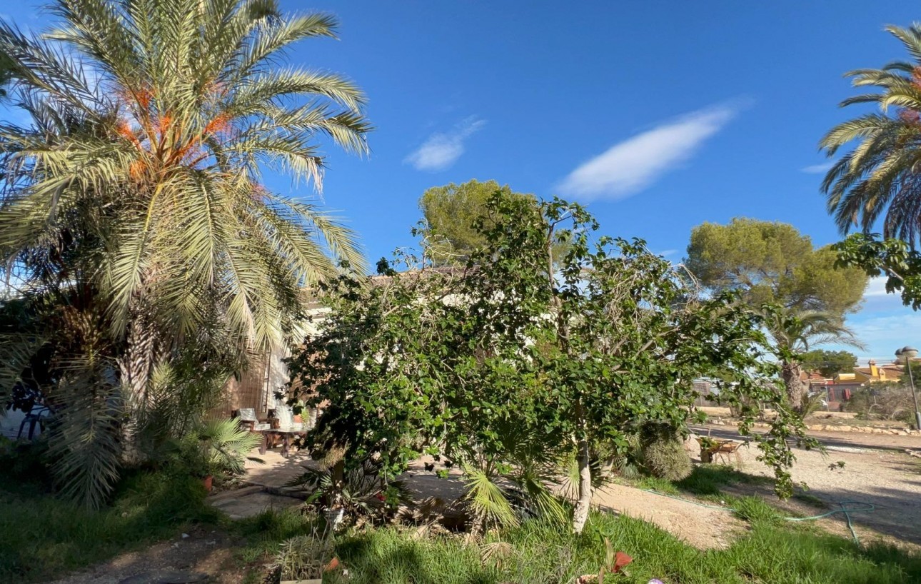 Sale - Chalet - Orihuela Costa - Campoamor