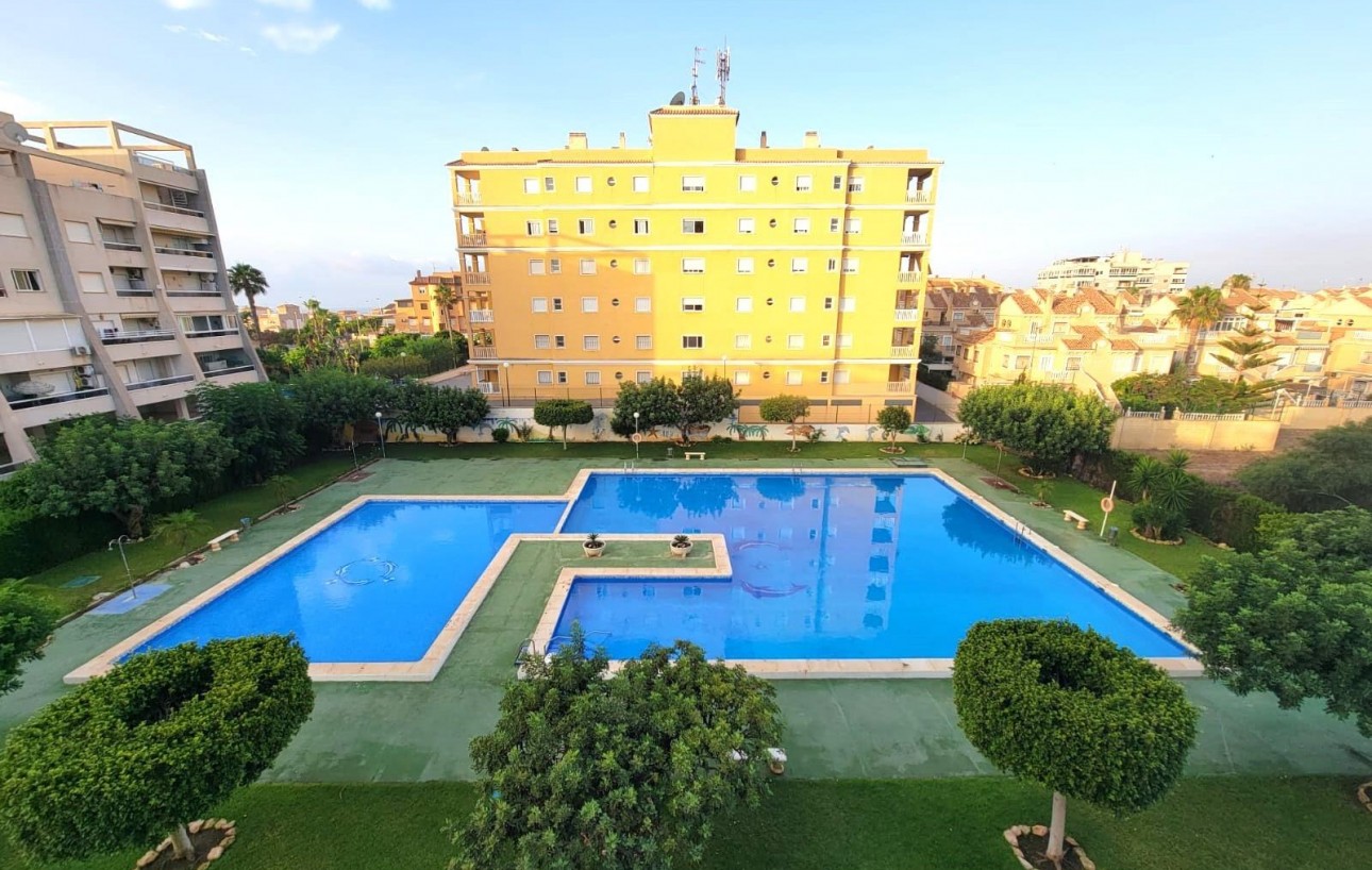 Revente - Planta baja - Torrevieja - Aguas Nuevas