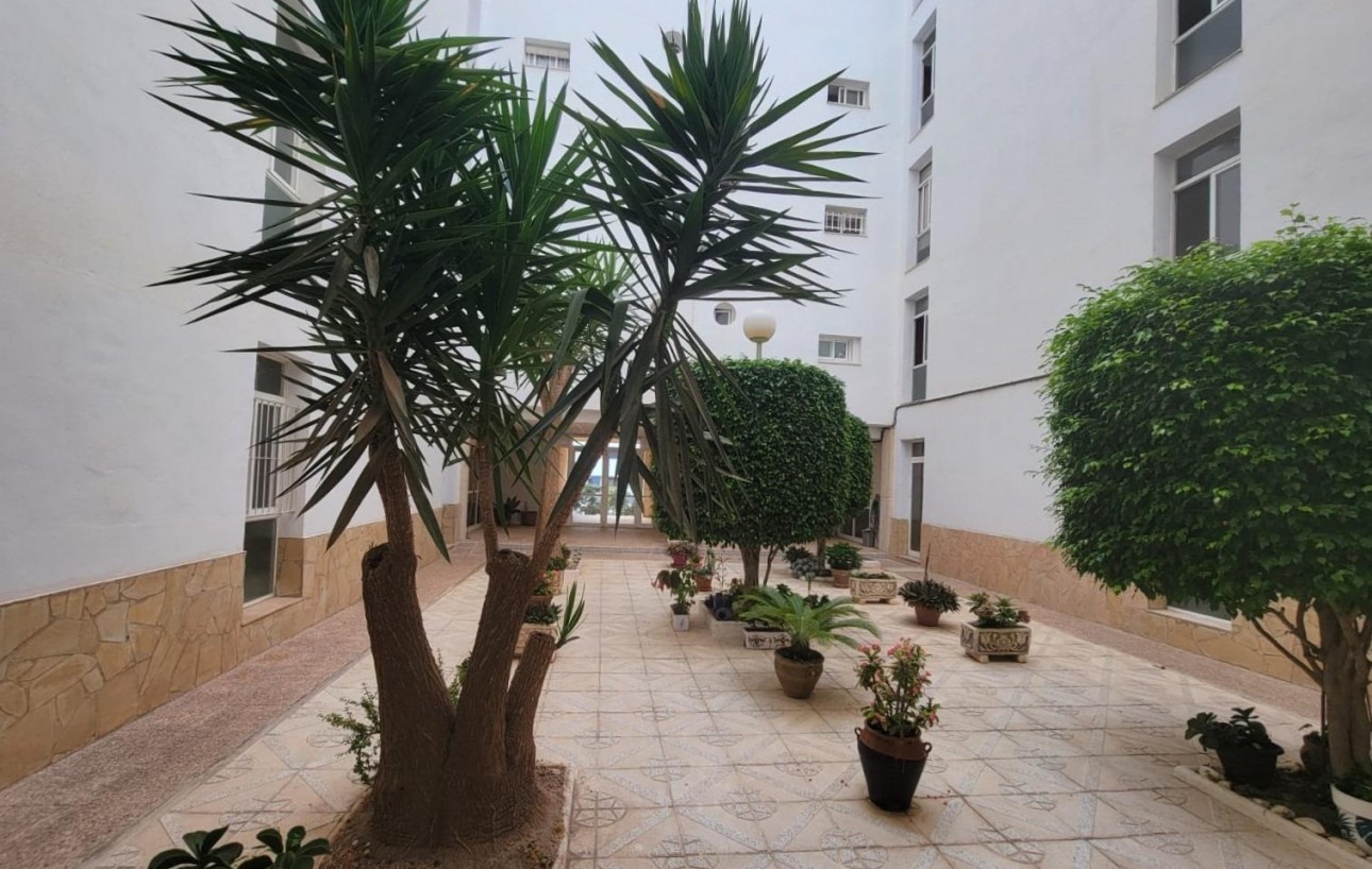 Revente - Planta baja - Torrevieja - Aguas Nuevas
