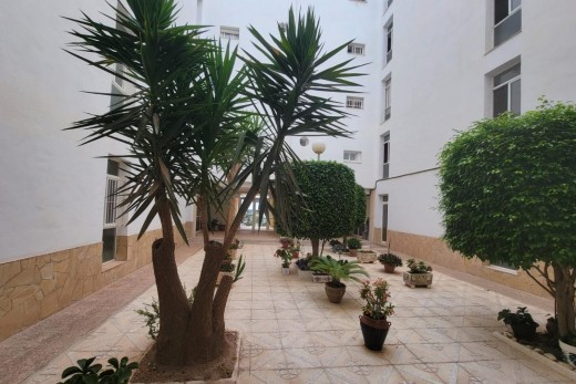 Revente - Planta baja - Torrevieja - Aguas Nuevas