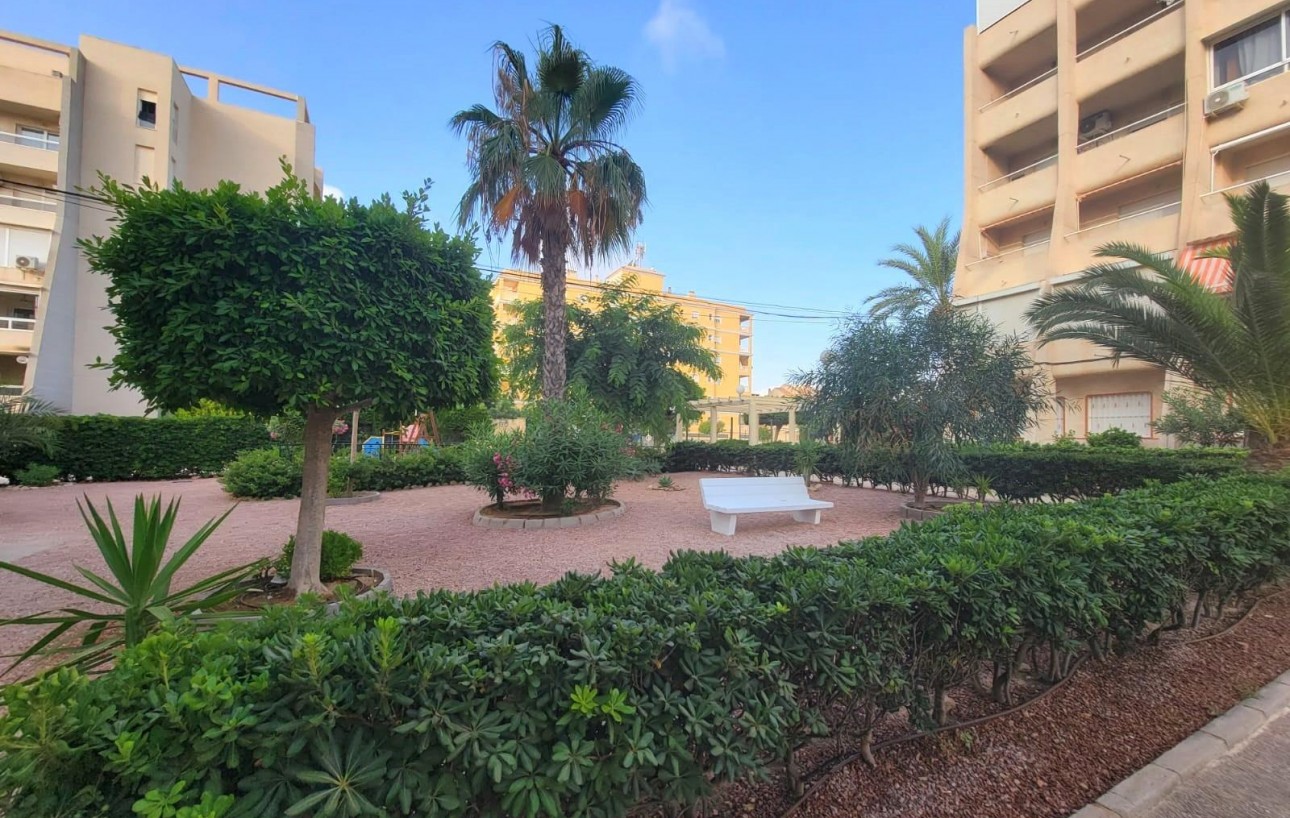 Revente - Planta baja - Torrevieja - Aguas Nuevas