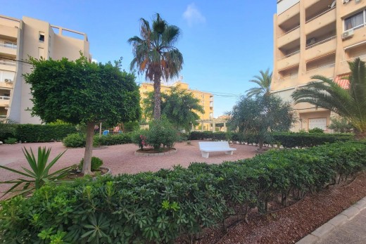 Revente - Planta baja - Torrevieja - Aguas Nuevas
