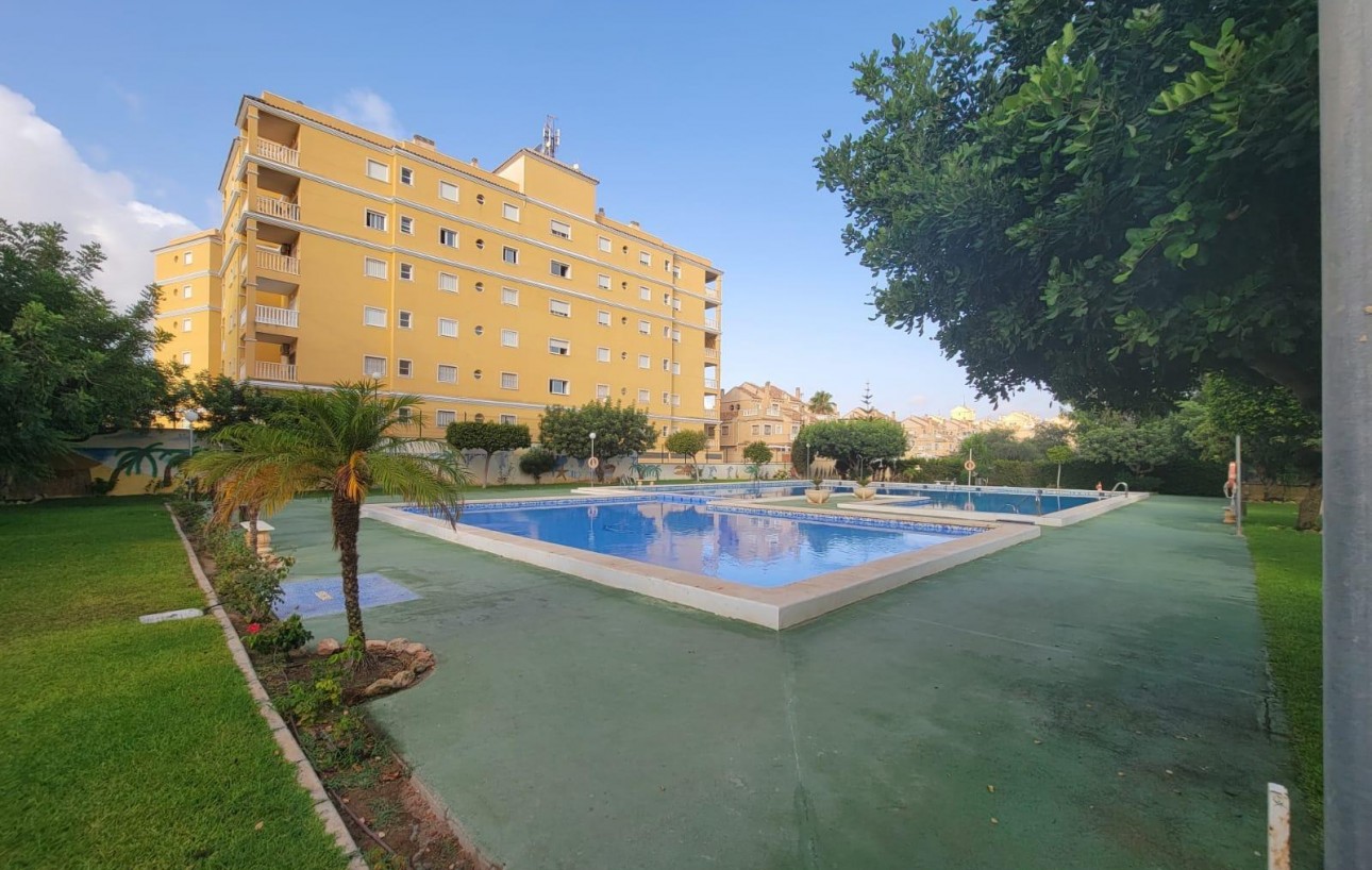 Revente - Planta baja - Torrevieja - Aguas Nuevas