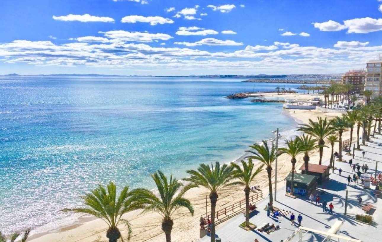 Nouvelle construction - Pareado - Torrevieja - Lago jardin