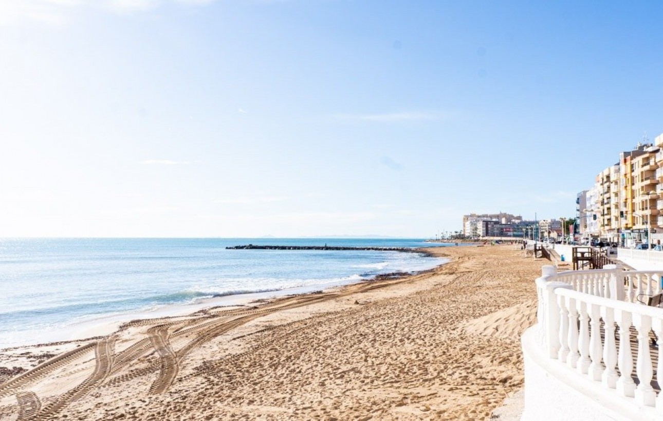 Nouvelle construction - Pareado - Torrevieja - Lago jardin