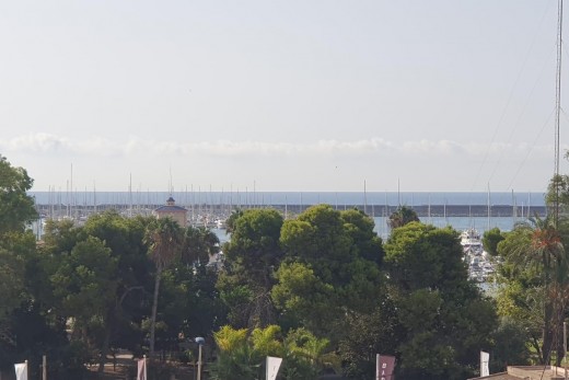 Venta - Piso - Torrevieja - Acequion