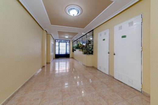 Venta - Apartamento - Torrevieja - torrevieja