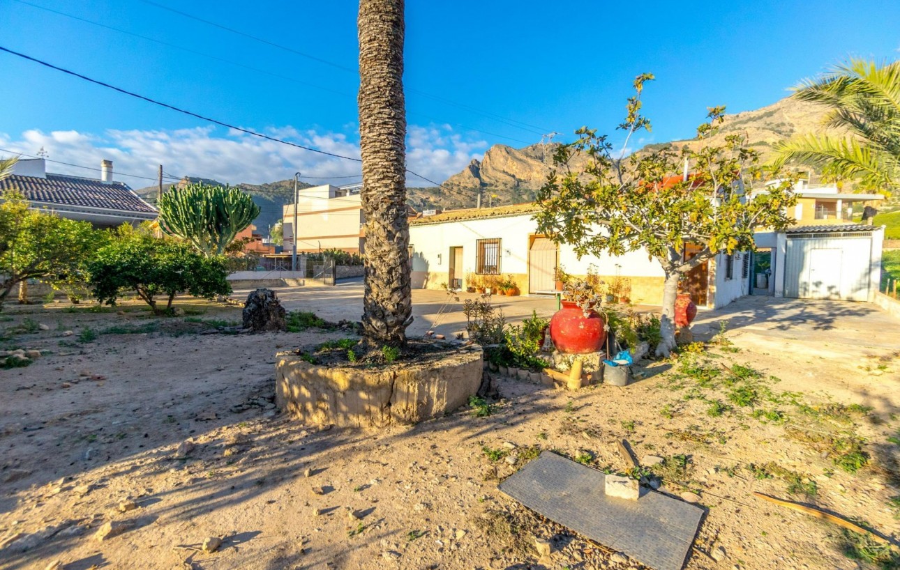 Venta - Casa de campo - Orihuela - Raiguero de Bonanza
