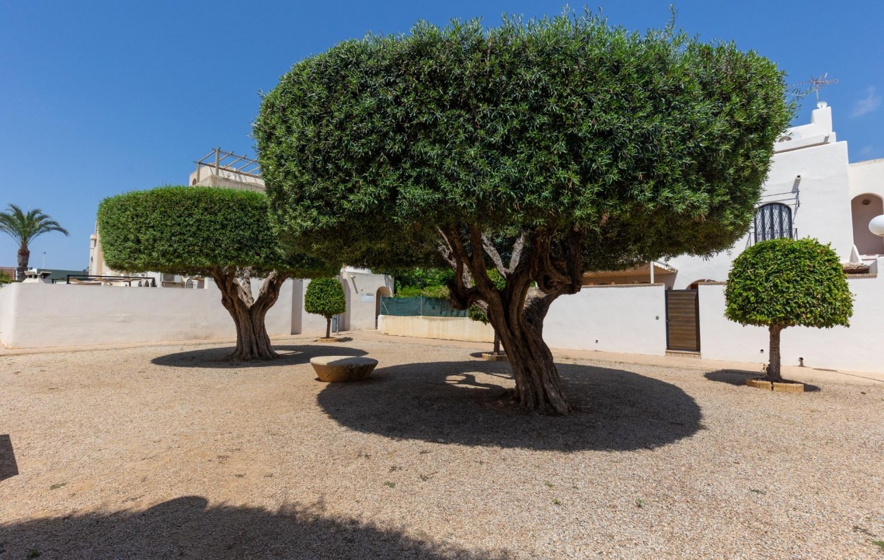 Resale - Bungalow Planta Baja - Torrevieja - Carrefour