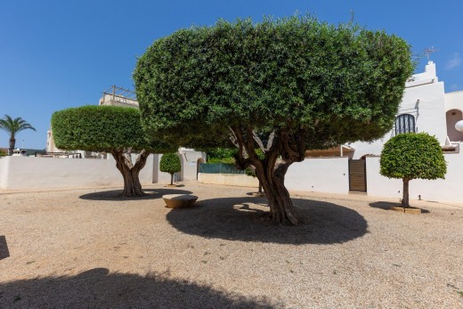 Resale - Bungalow Planta Baja - Torrevieja - Carrefour