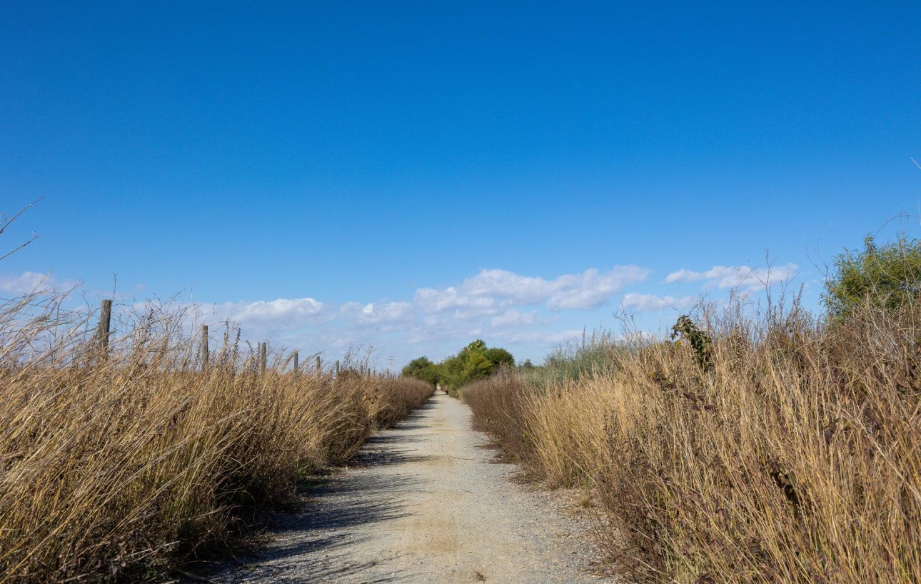 Resale - Bungalow Planta Alta - Torrevieja - La Siesta - El Salado - Torreta