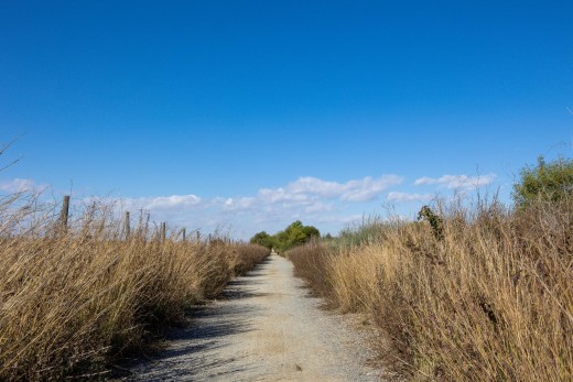 Resale - Bungalow Planta Alta - Torrevieja - La Siesta - El Salado - Torreta