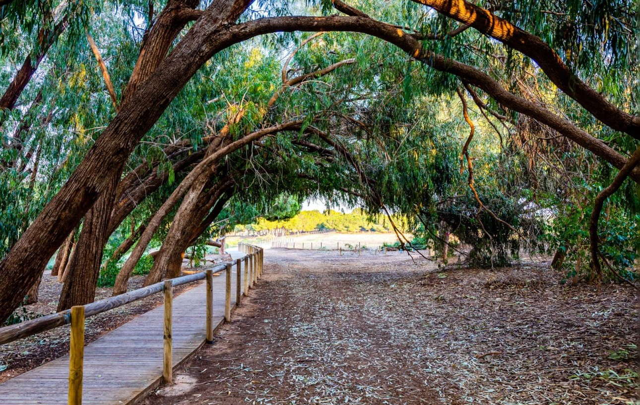 Resale - Bungalow Planta Alta - Torrevieja - La Siesta - El Salado - Torreta