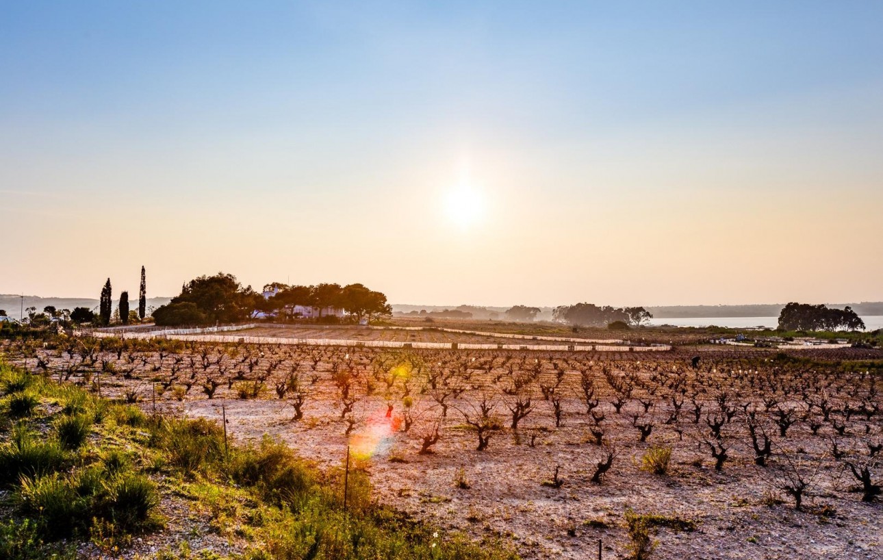 Resale - Bungalow Planta Alta - Torrevieja - La Siesta - El Salado - Torreta