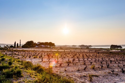 Resale - Bungalow Planta Alta - Torrevieja - La Siesta - El Salado - Torreta