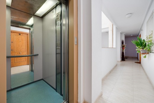 Venta - Apartamento - Torrevieja - Habaneras
