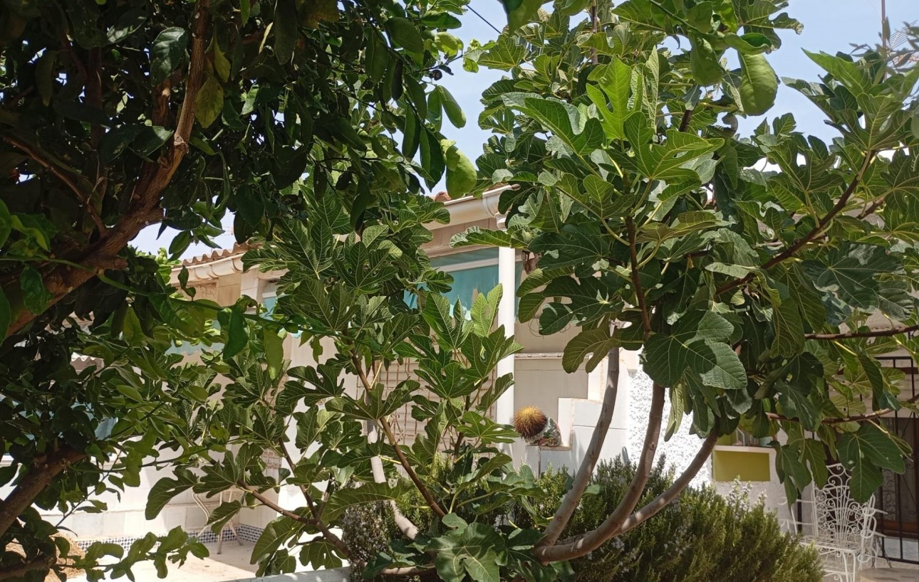 Venta - Bungalow - Torrevieja - Torretas