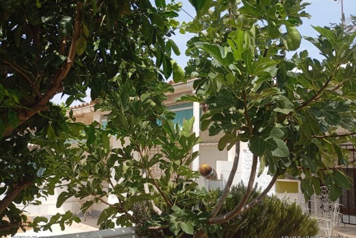 Venta - Bungalow - Torrevieja - Torretas