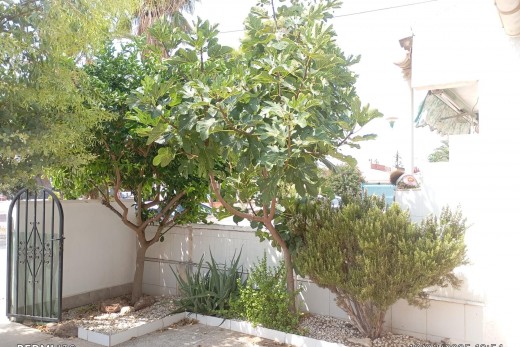 Venta - Bungalow - Torrevieja - Torretas