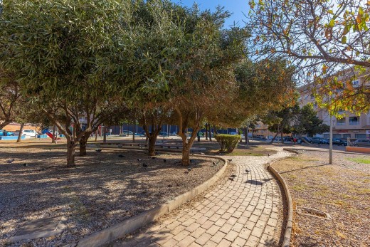 Venta - Ático - Torrevieja - El molino