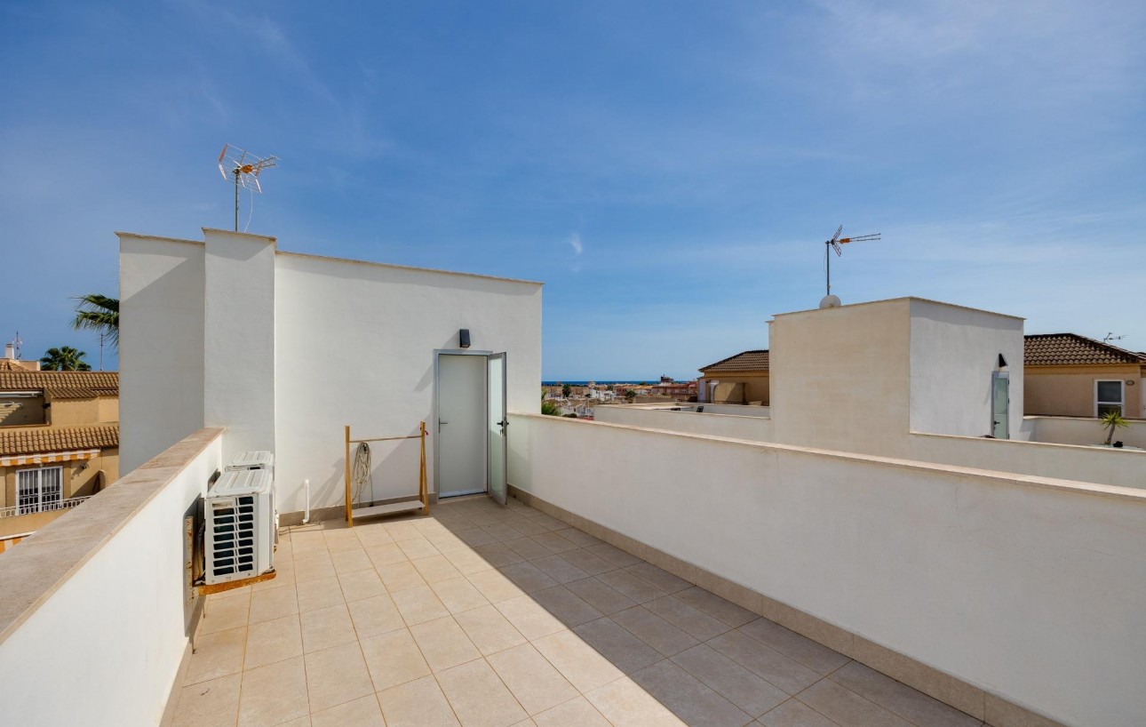 Venta - Chalet - Torrevieja - Los Frutales