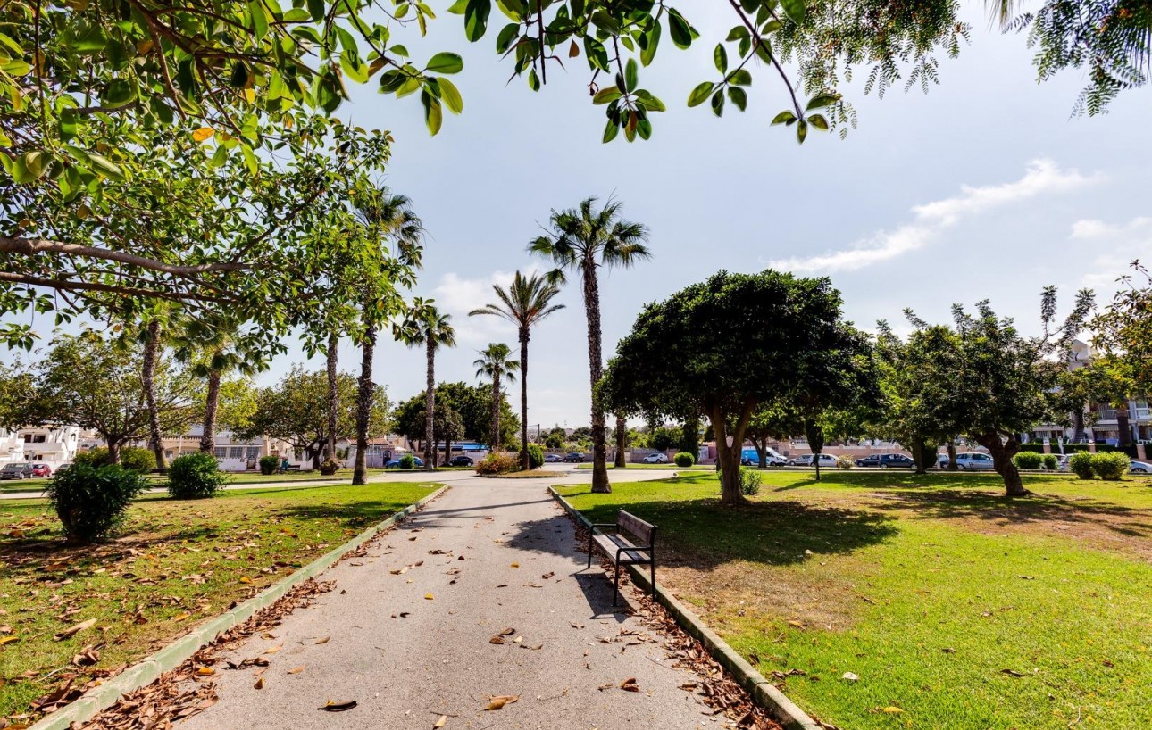 Venta - Chalet - Torrevieja - Los Frutales