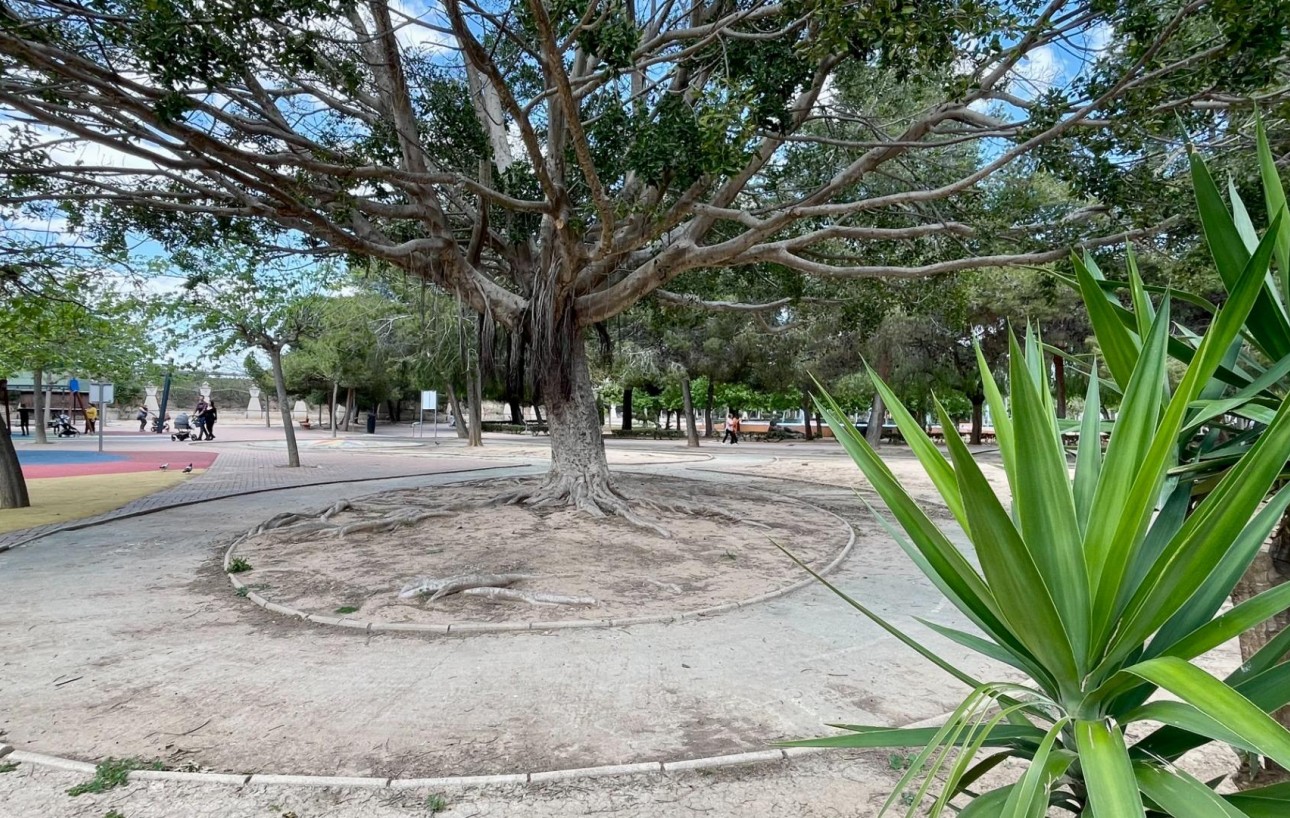 Venta - Piso - Torrevieja - Centro