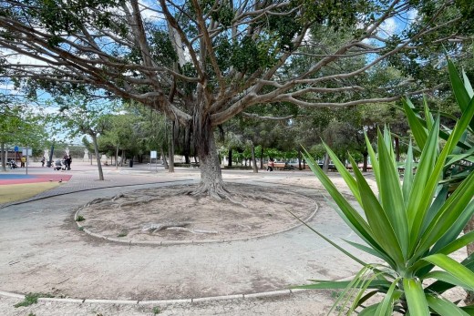 Venta - Piso - Torrevieja - Centro