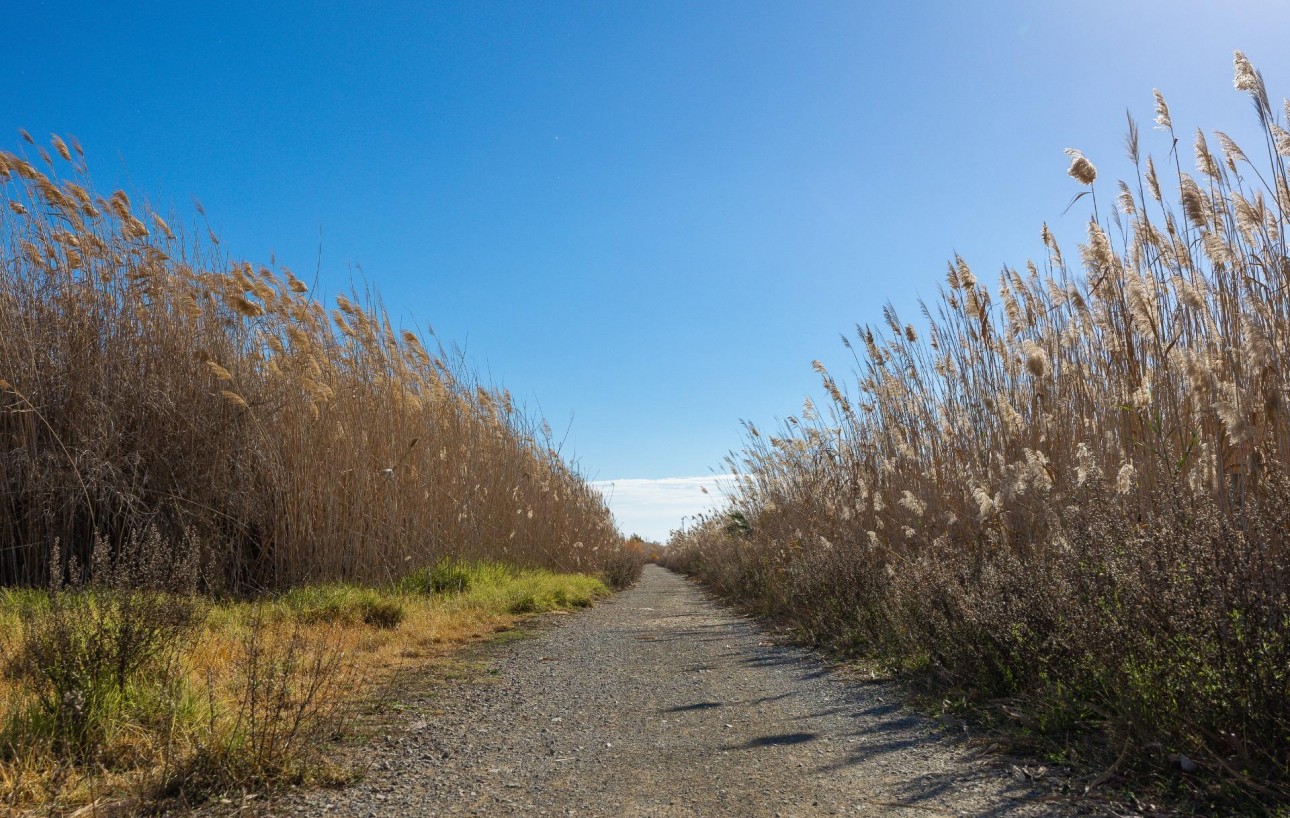 Venta - Adosado - Torrevieja - La Siesta - El Salado - Torreta