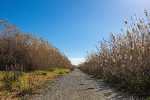 Venta - Adosado - Torrevieja - La Siesta - El Salado - Torreta