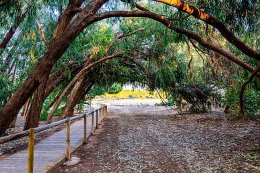 Venta - Adosado - Torrevieja - La Siesta - El Salado - Torreta
