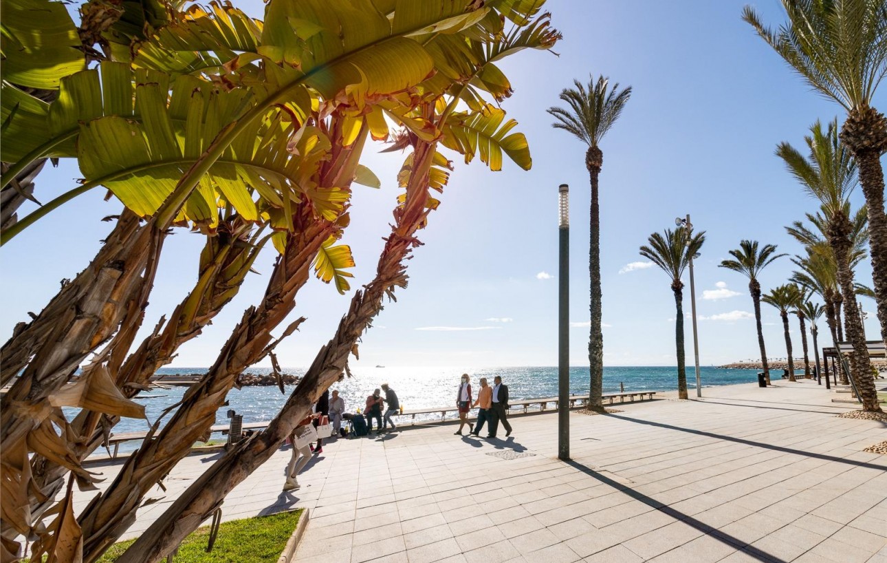 Venta - Apartamento - Torrevieja - Playa del cura
