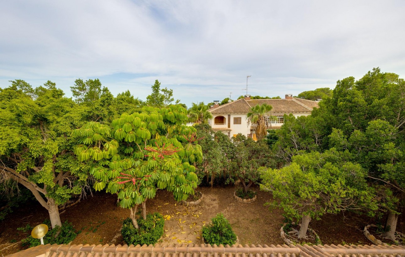 Venta - Chalet - Torrevieja - Rocio del mar