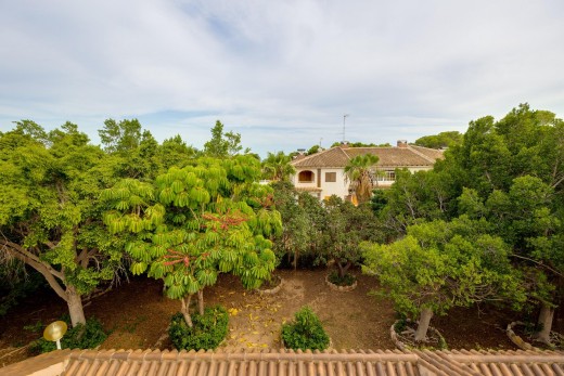 Venta - Chalet - Torrevieja - Rocio del mar