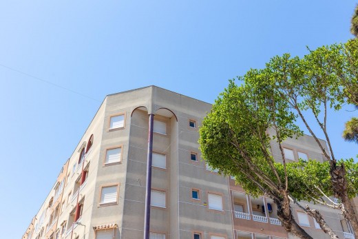 Revente - Attique - Guardamar del Segura - Pueblo