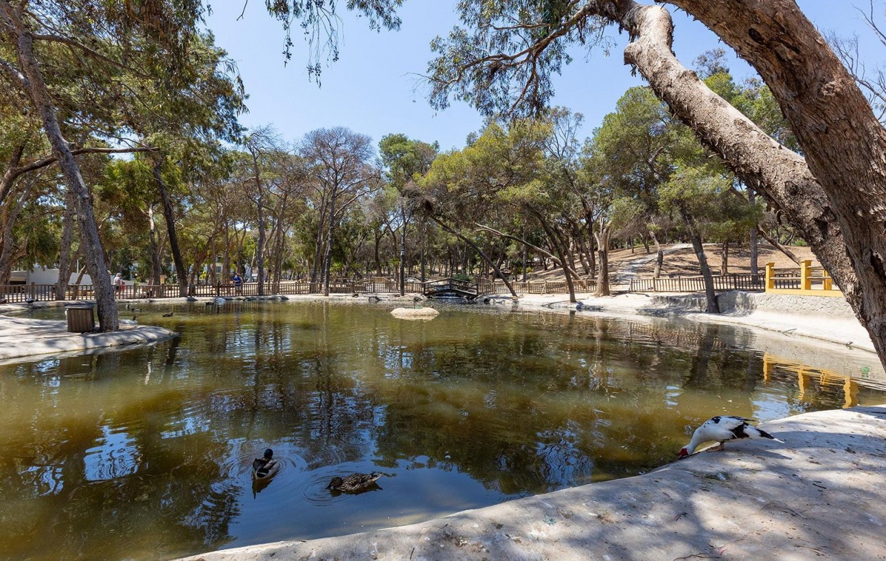 Revente - Attique - Guardamar del Segura - Pueblo