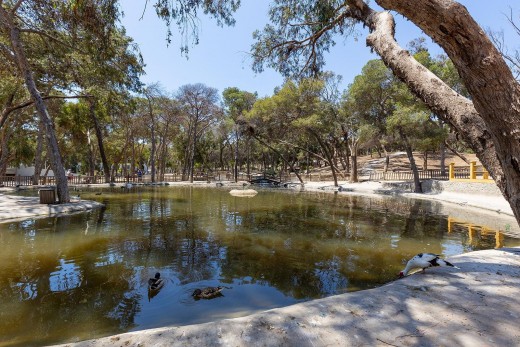 Revente - Attique - Guardamar del Segura - Pueblo