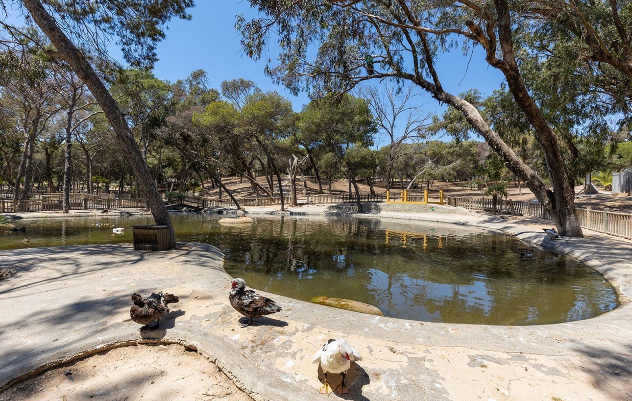 Revente - Attique - Guardamar del Segura - Pueblo