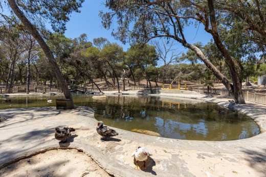 Revente - Attique - Guardamar del Segura - Pueblo