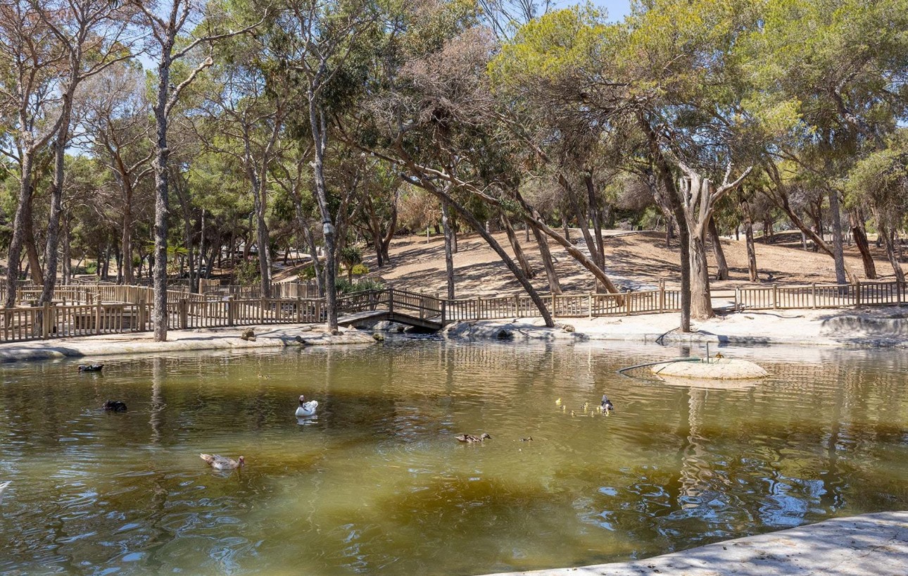 Revente - Attique - Guardamar del Segura - Pueblo