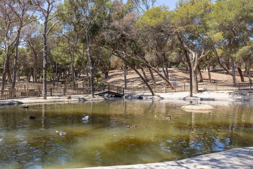 Revente - Attique - Guardamar del Segura - Pueblo