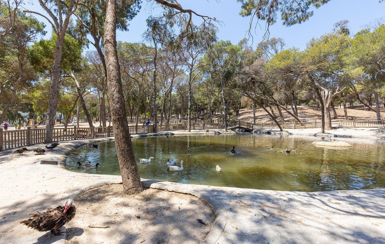 Revente - Attique - Guardamar del Segura - Pueblo