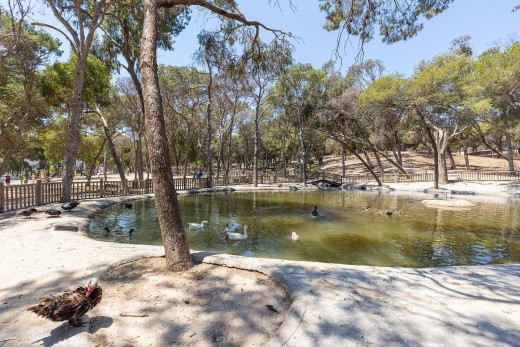 Revente - Attique - Guardamar del Segura - Pueblo